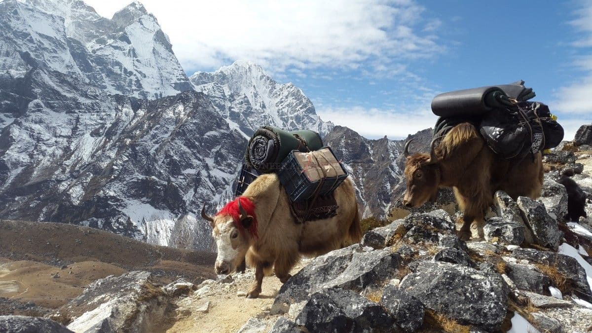 Everest 2.jpg